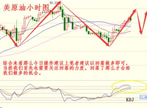 2024澳门特马今晚开|预测分析解释落实_演示款.7.898