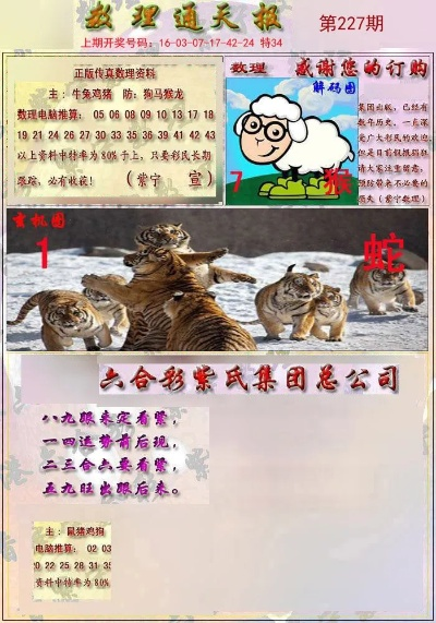 四不像玄机图2024|探索未来教育新趋势_QHD版.8.334