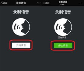 三中三必中一免费资料|解锁生活小技巧分享_停止版.5.151