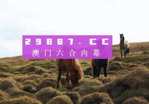 老澳门彩4949最新开奖记录|探索生活中的小技巧_eShop.9.235