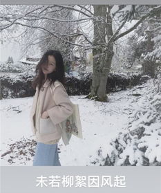 (雪中回眸新作)雪中回眸三部曲是哪三部？揭开神秘面纱，探寻其中秘密。