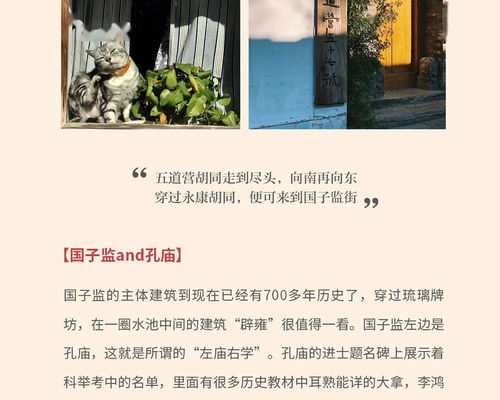 (京门西月免费阅读)京门月免费阅读：畅享书海，尽显书香文化魅力